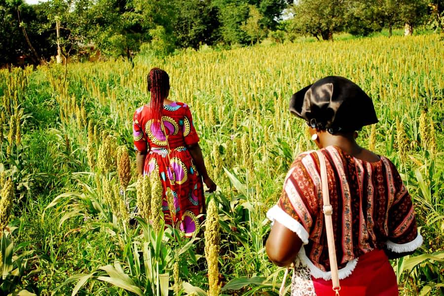 Women farming